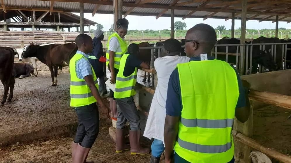 TDB YATEMBELEA SHAMBA LA NG'OMBE WAMAZIWA( MIDLAND ESTATE DAIRY FARM) WILAYANI BAHI, MKOA WA DODOMA